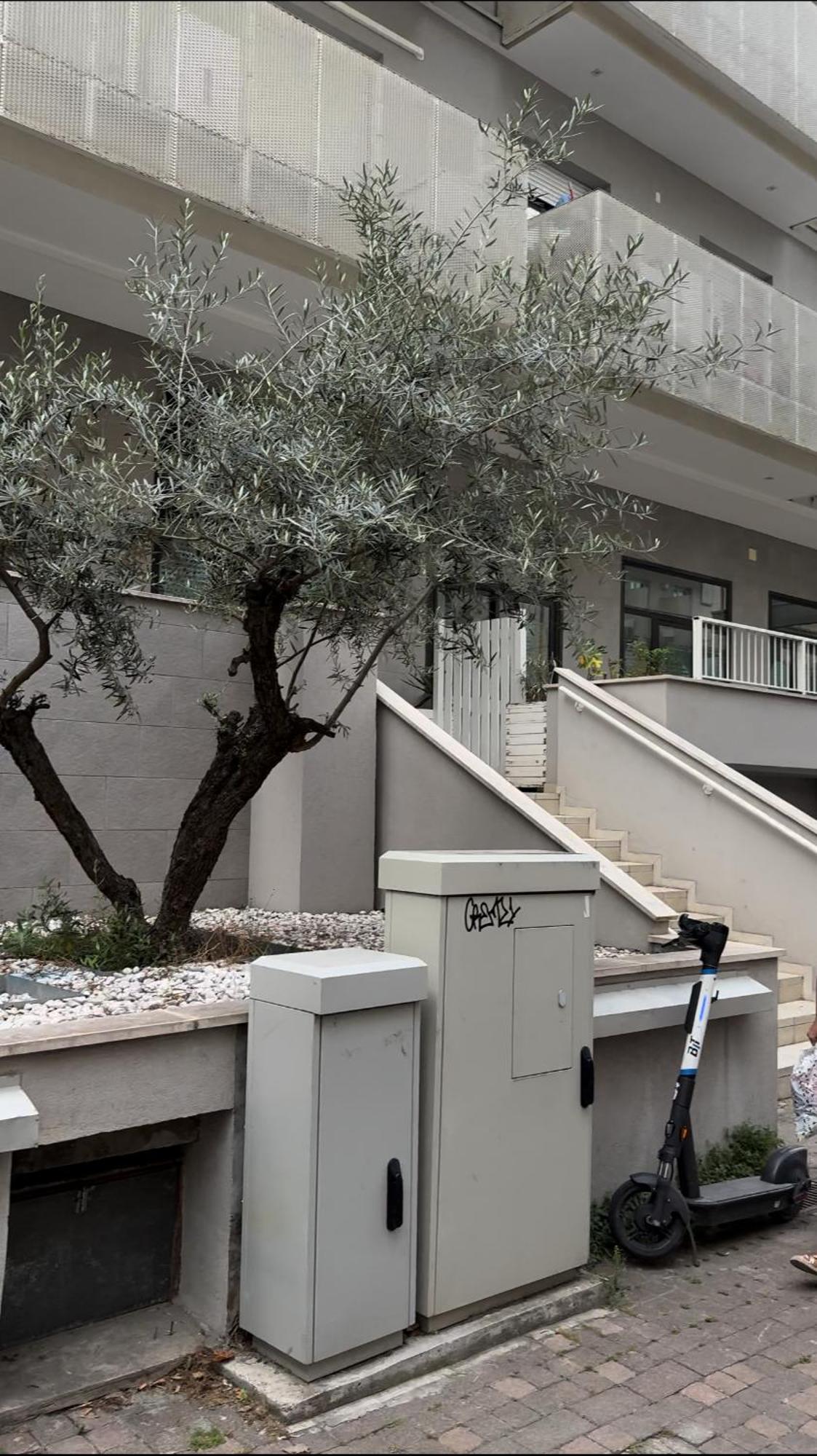 Rimini Marina Apartment Ngoại thất bức ảnh